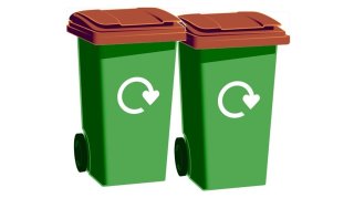 Two garden waste bins