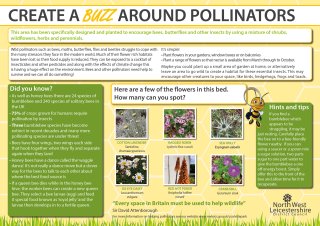 Interpretation panel for the pollinator bed located within Coalville Park